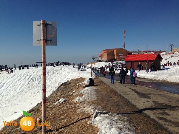 jabalelskheikhlud (21).JPG